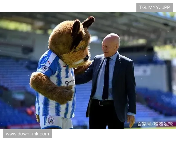 英超国际推广成果，全球粉丝增长
