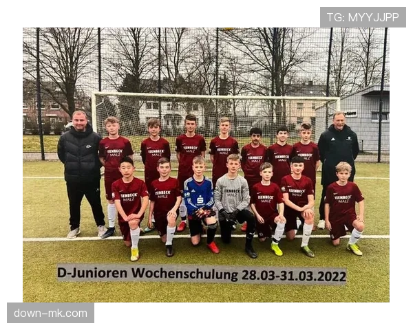 德国足球职业联盟发布《青少年球迷发展白皮书》,关注观赛习惯数字化迁移